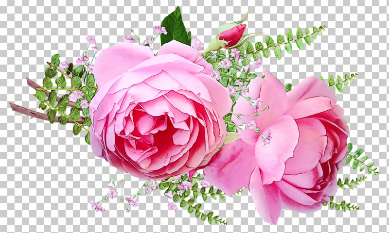 Garden Roses PNG, Clipart, Artificial Flower, Cabbage Rose, Cut Flowers, Floral Design, Flower Free PNG Download