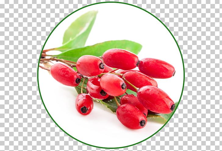 Cranberry Flavor Food Herb Crataegus Laevigata PNG, Clipart, Auglis, Barberry, Berry, Cranberry, Crataegus Laevigata Free PNG Download