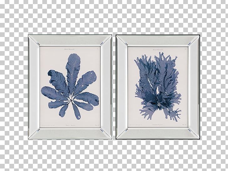 Frames Seaweed Poster Art Wall PNG, Clipart, Algae, Art, Canvas, Cobalt Blue, Flower Free PNG Download