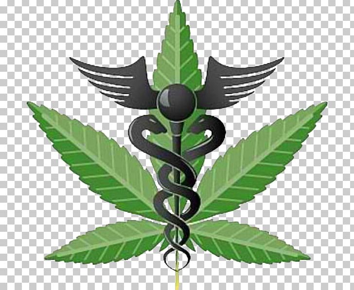 Medical Cannabis Medical Marijuana Card Dispensary Cannabis Shop PNG, Clipart, Aids, Bong, Cannabis, Cannabis Shop, Dispensary Free PNG Download