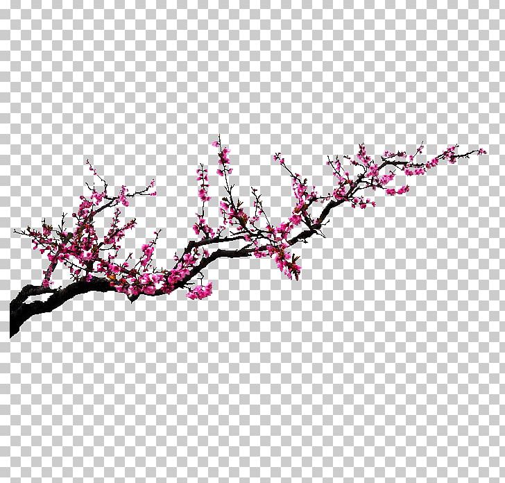 Poster PNG, Clipart, 3d Computer Graphics, Blog, Blossom, Branch, Cherry Blossom Free PNG Download