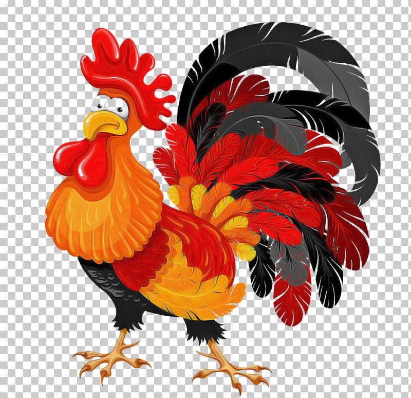 Chicken Rooster Bird Comb Fowl PNG, Clipart, Beak, Bird, Chicken, Comb, Fowl Free PNG Download