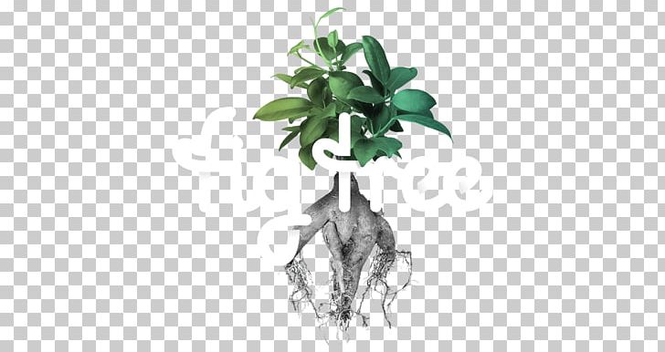 Branch Weeping Fig Fiddle-leaf Fig Fig Tree Digital PNG, Clipart, Aerial Root, Banyan, Branch, Common Fig, Ficus Macrophylla Free PNG Download