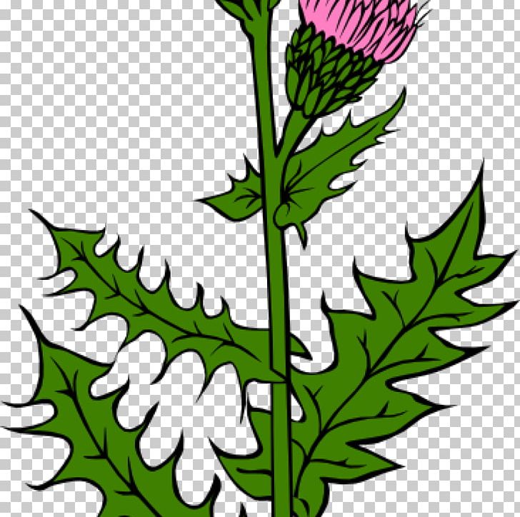 Flag Of Scotland Thistle Graphics PNG, Clipart, Artwork, Bud, Cut Flowers, Flag, Flag Of Scotland Free PNG Download