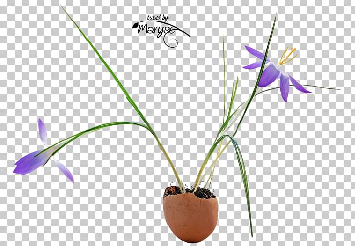 Flowerpot Flowering Plant Plant Stem PNG, Clipart, Flora, Flower, Flowering Plant, Flowerpot, Grass Free PNG Download