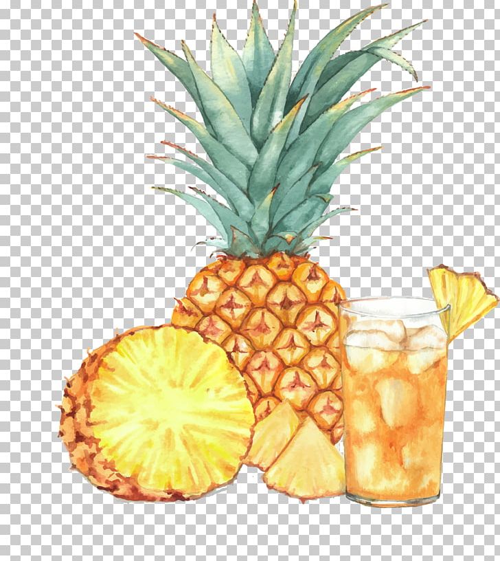 Juice Cocktail Pineapple Drawing PNG, Clipart, Ananas, Art, Bromeliaceae, Cocktail, Drawing Free PNG Download