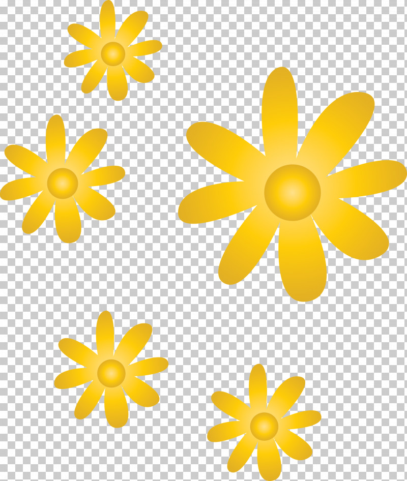 Yellow Petal Flower Plant Wildflower PNG, Clipart, Flower, Petal, Plant, Wildflower, Yellow Free PNG Download