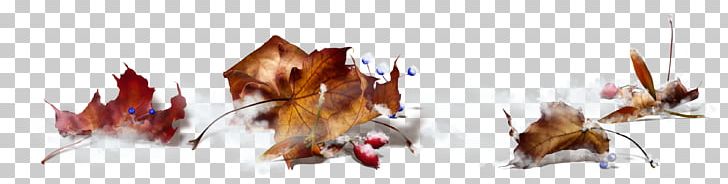 Autumn Maple Leaf PNG, Clipart, Autumn, Cloud, Deciduous, Leaf, Maple Leaf Free PNG Download