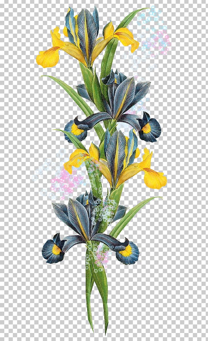 Flower PNG, Clipart, Branch, Color, Flora, Floral Design, Floristry Free PNG Download