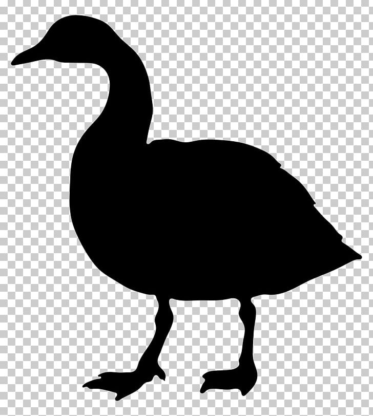 Goose Silhouette PNG, Clipart, Animals, Beak, Bird, Black And White, Canada Goose Free PNG Download