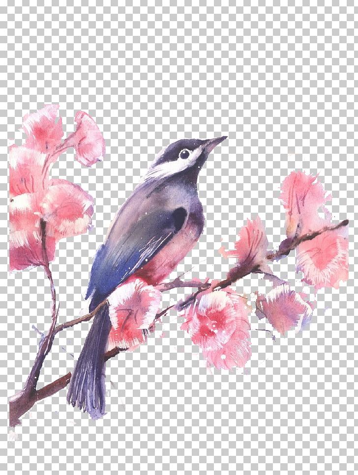 Watercolor Painted Birds And Flowers PNG, Clipart, Art, Beak, Bird, Birds, Blossom Free PNG Download