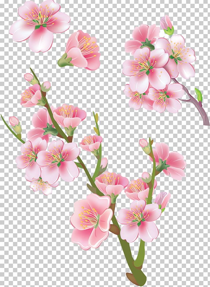 Flower PNG, Clipart, Branch, Cherry Blossom, Computer Icons, Computer Software, Cut Flowers Free PNG Download