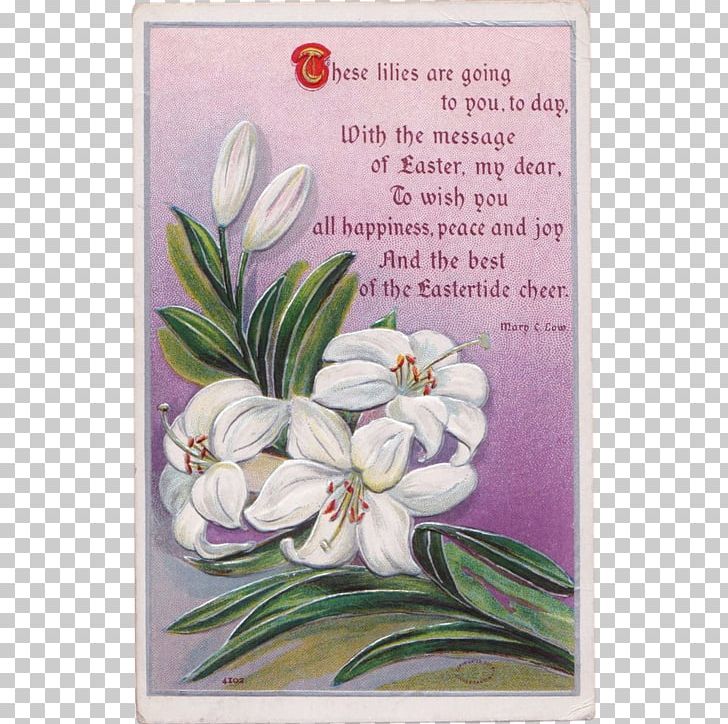 The Lilly Easter Lily Poetry Flower To Read A Lily PNG, Clipart, Antique, Easter Lily, Flora, Floral Design, Floristry Free PNG Download