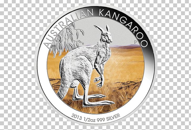 Australian Silver Kookaburra Laughing Kookaburra Silver Coin PNG, Clipart, Australia, Australian Dollar, Australian Outback, Australian Silver Kookaburra, Carnivoran Free PNG Download