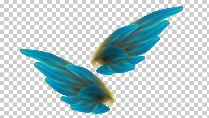 Bird Feather Angel Wing PNG, Clipart, Angel, Animals, Birds, Blue, Blue Abstract Free PNG Download