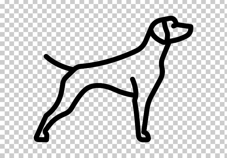 German Shorthaired Pointer Chesapeake Bay Retriever Dachshund Border Collie Animal PNG, Clipart, Animal, Area, Black, Black And White, Border Collie Free PNG Download