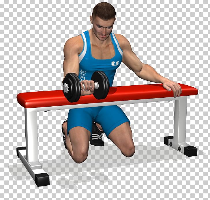 Weight Training Bench Wrist Curl Forearm PNG, Clipart, Abdomen, Arm, Balance, Barbell, Bench Free PNG Download