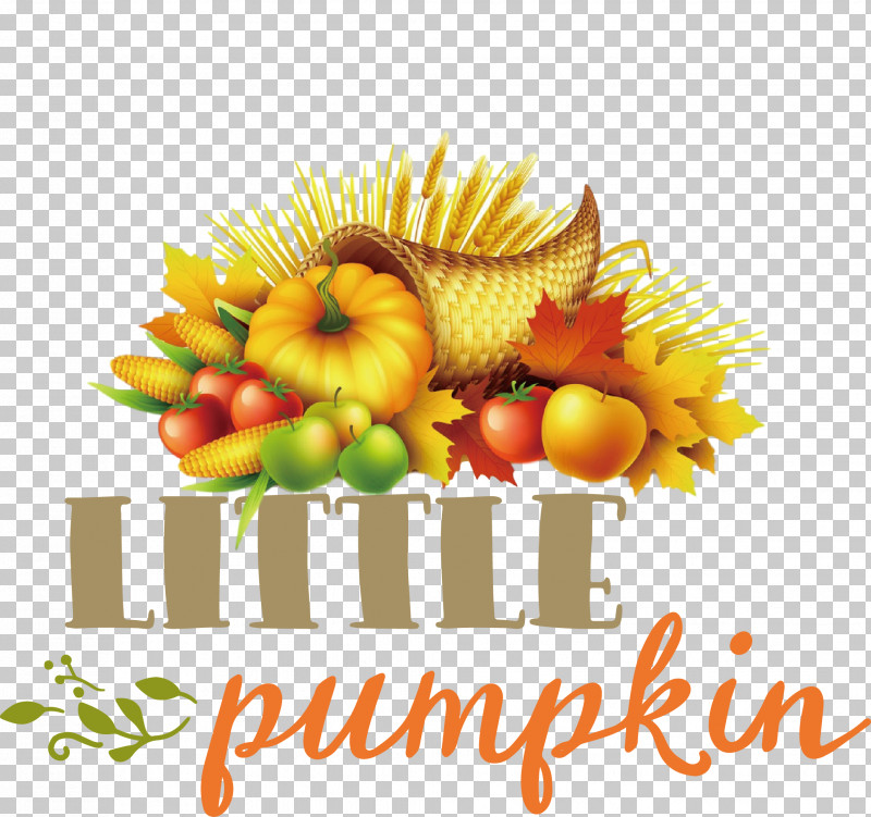 Little Pumpkin Thanksgiving Autumn PNG, Clipart, Autumn, Floral Design, Fruit, Little Pumpkin, Local Food Free PNG Download