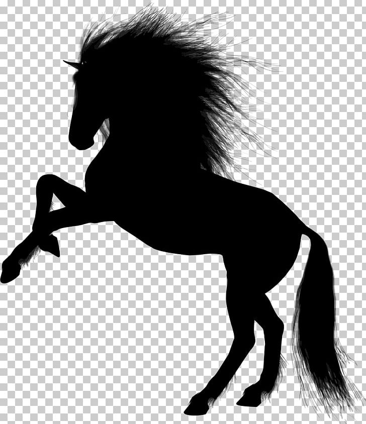 Horse Desktop Equestrian PNG, Clipart, Animals, Black And White, Colt, Desktop Wallpaper, Download Free PNG Download
