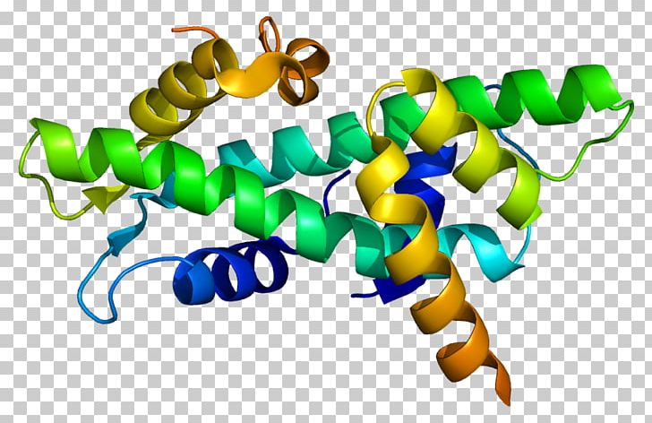 NFYB NFYC Protein Transcription Factor Gene PNG, Clipart, Artwork, Binding Protein, Caat Box, Folliclestimulating Hormone, Gene Free PNG Download
