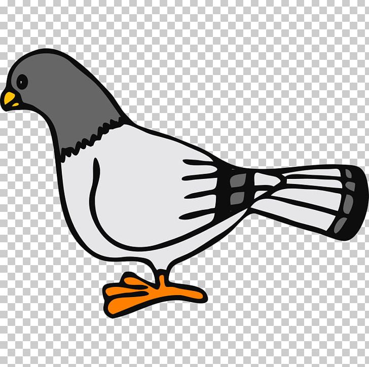 Columbidae Fantail Pigeon PNG, Clipart, Artwork, Beak, Bird, Clay Pigeon Shooting, Columbidae Free PNG Download