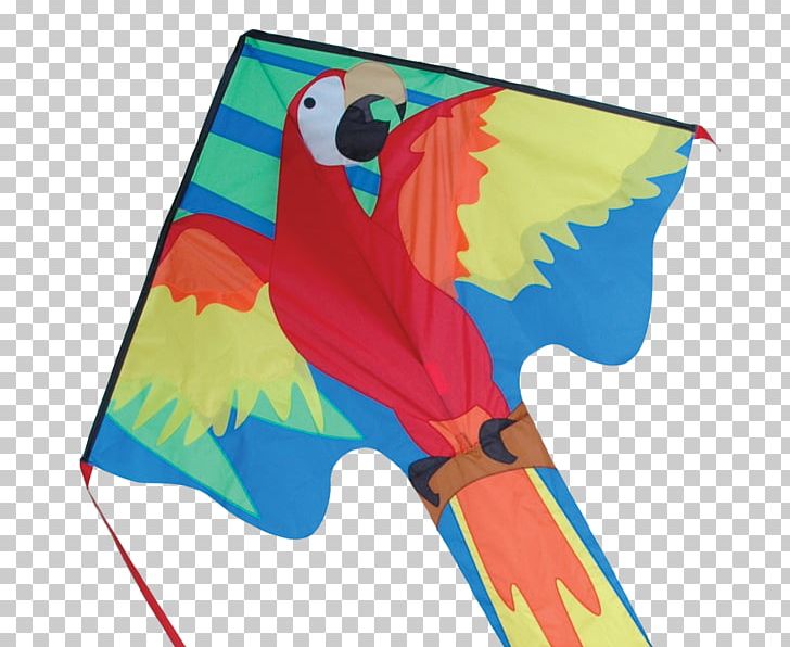 St. Augustine Kitesurfing Macaw Flight PNG, Clipart, Area, Beak, Bird, Boutique Vent En Fete, Common Pet Parakeet Free PNG Download