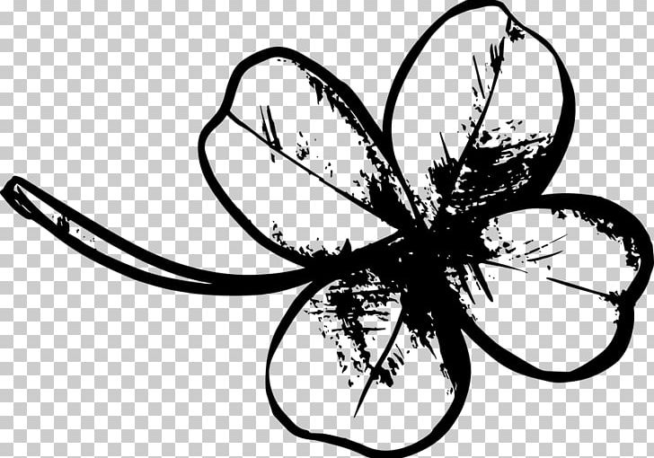 White Clover Four-leaf Clover Red Clover Drawing Shamrock PNG, Clipart,  Free PNG Download