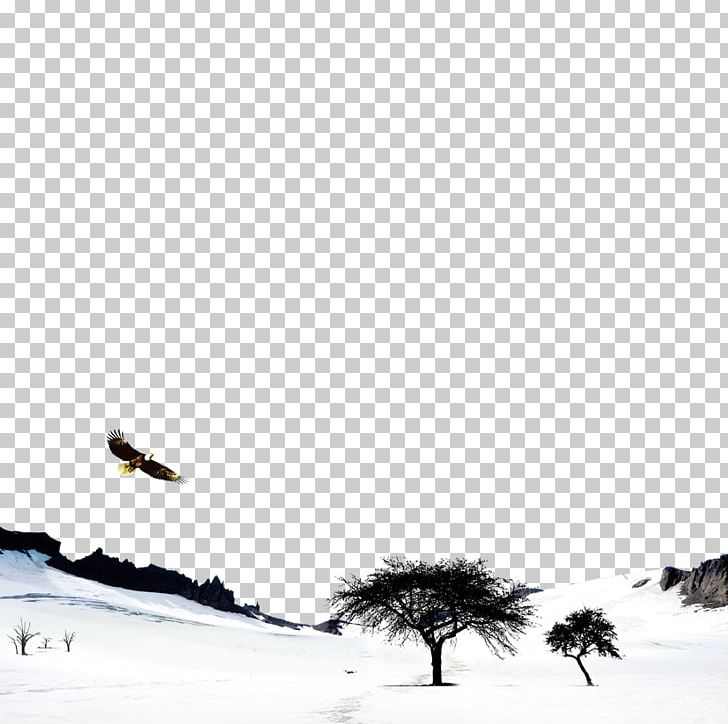 Bird Black And White Sky Winter PNG, Clipart, Arctic, Big Tree, Bird, Black And White, Computer Free PNG Download