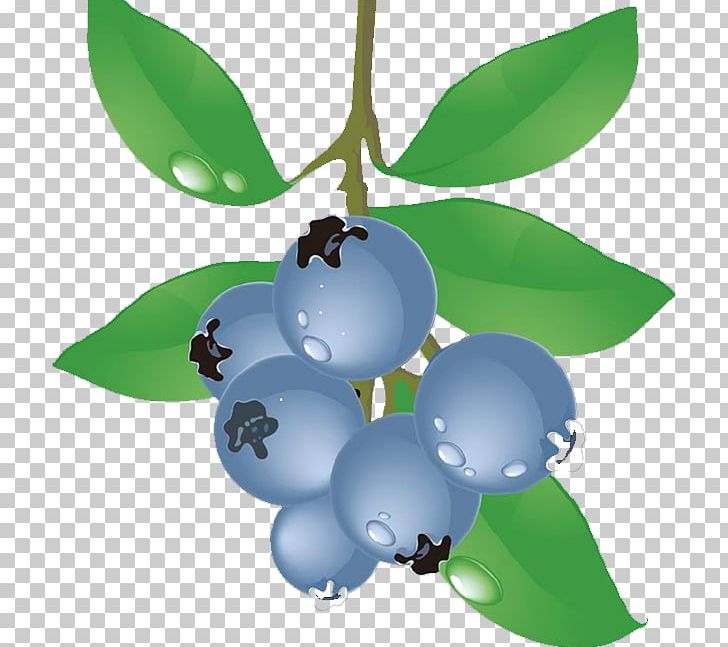 blueberry bush clip art
