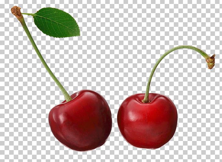 Barbados Cherry Fruit PNG, Clipart, Acerola, Apple, Blossoms Cherry, Cherries, Cherry Free PNG Download
