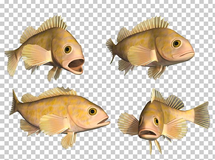 Bony Fishes Deep Sea Fish Hagfish PNG, Clipart, Animal, Animals, Bony Fish, Bony Fishes, Cartoon Fish Free PNG Download
