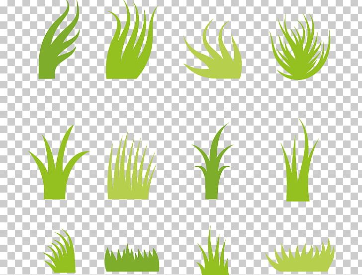 Euclidean Icon PNG, Clipart, Angle, Artificial Grass, Cartoon Grass, Download, Forming Free PNG Download