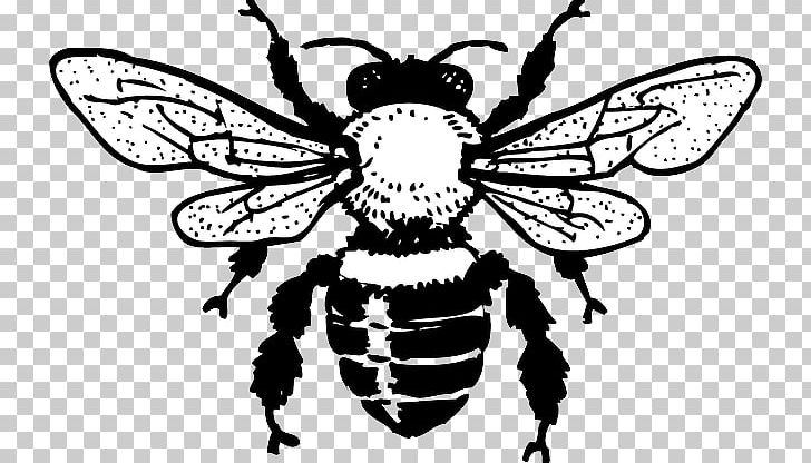 European Dark Bee Honey Bee PNG, Clipart, Art, Arthropod, Artwork, Bee, Beehive Free PNG Download
