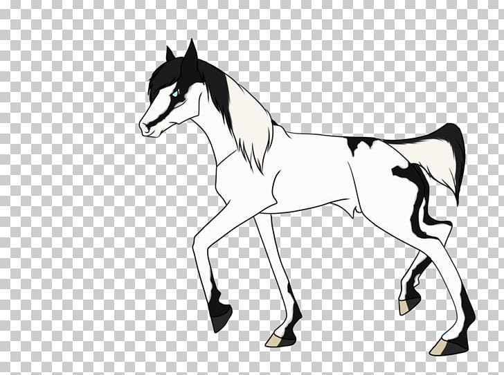 Mule Foal Halter Mustang Stallion PNG, Clipart, Artwork, Black And White, Bridle, Colt, Drawing Free PNG Download