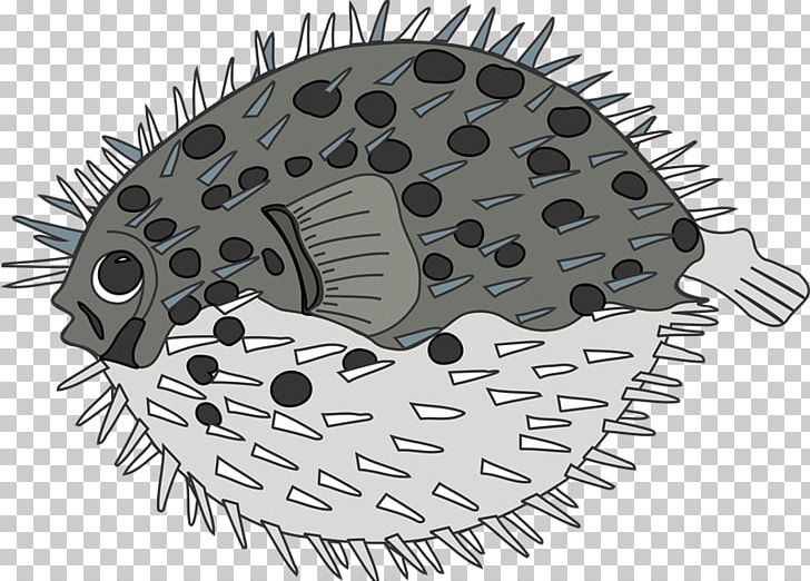 Pufferfish PNG, Clipart, Art, Automotive Tire, Cartoon, Fish, Hardware Accessory Free PNG Download