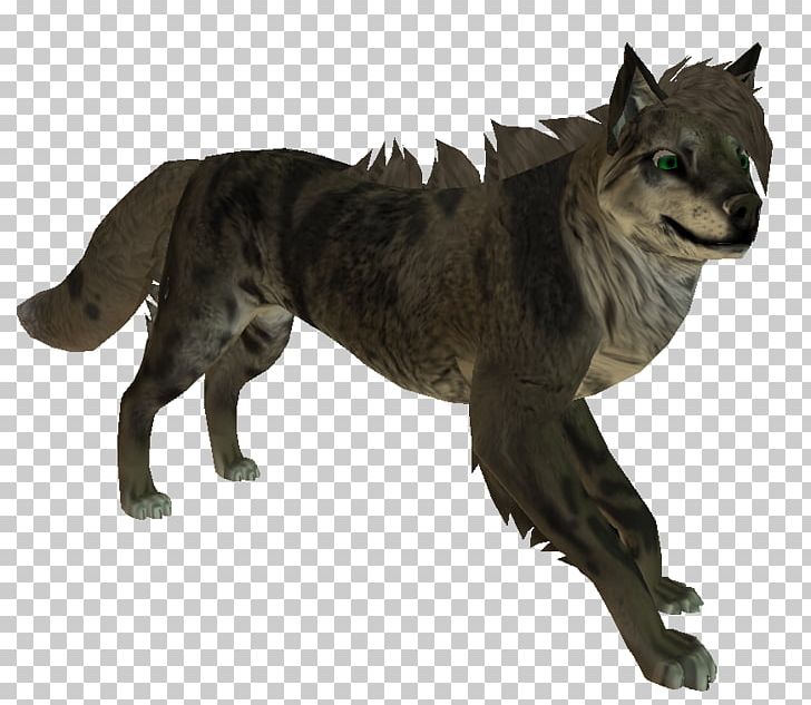 Gray Wolf Cat Fur Terrestrial Animal Tail PNG, Clipart, Animal, Animals, Carnivoran, Cat, Cat Like Mammal Free PNG Download