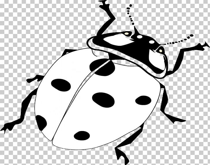 Ladybird Beetle Coloring Book Drawing PNG, Clipart, Adult, Animal, Animals, Artwork, Beetle Free PNG Download