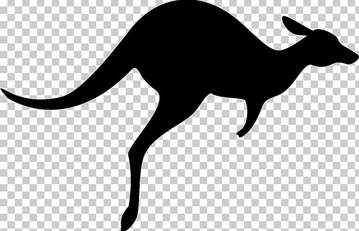 Australia Macropodidae Kangaroo Computer Icons Wallaby PNG, Clipart, Animals, Australia, Black And White, Computer Icons, Eastern Grey Kangaroo Free PNG Download