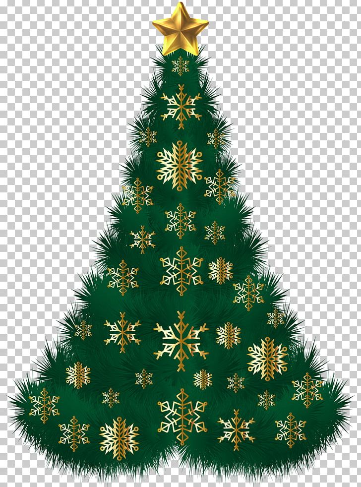 Christmas Tree Spruce Christmas Ornament PNG, Clipart, Christmas, Christmas Decoration, Christmas Ornament, Christmas Tree, Conifer Free PNG Download
