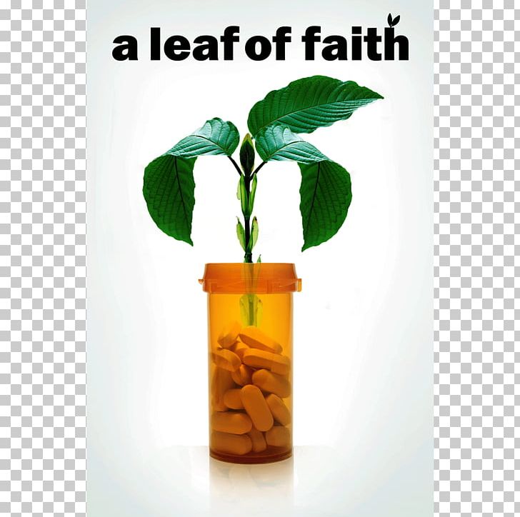Documentary Film YouTube Film Director Leaf PNG, Clipart, Documentary Film, Faith, Film, Film Director, Flowerpot Free PNG Download