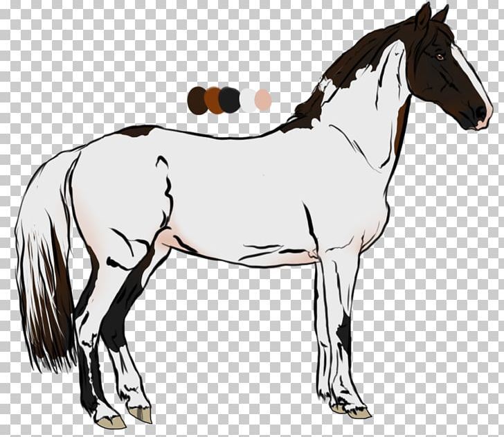 Mane Foal Stallion Pony Mare PNG, Clipart, Black And White, Bridle, Colt, English Riding, Equestrian Free PNG Download