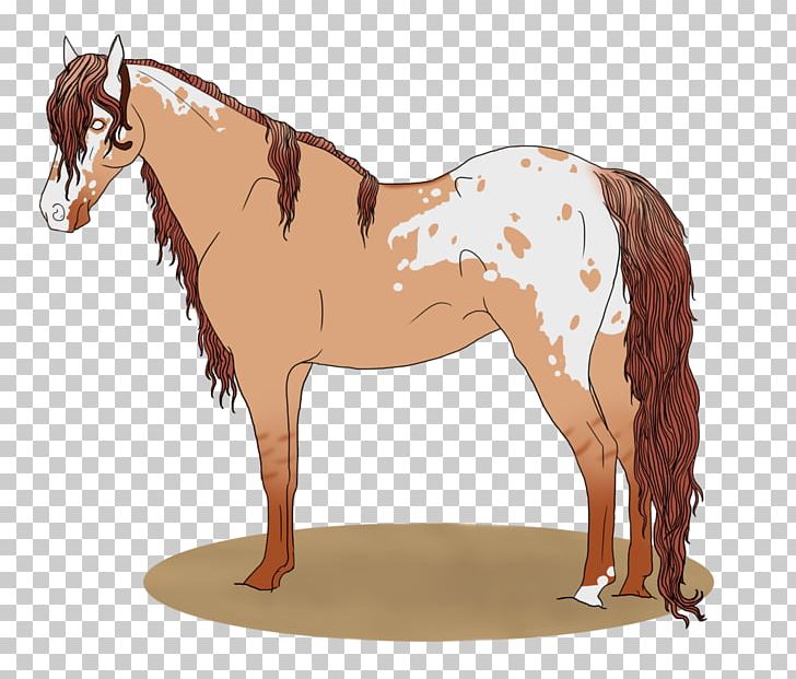 Mane Mustang Stallion Mare Colt PNG, Clipart, Bridle, Colt, Halter, Horse, Horse Like Mammal Free PNG Download