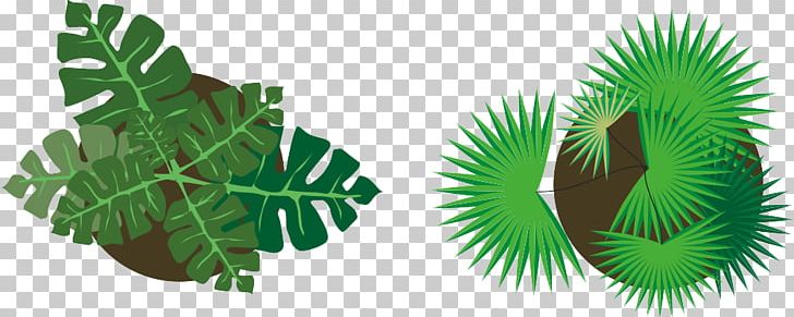 Plant Euclidean Vecteur Green PNG, Clipart, Encapsulated Postscript, Euclidean Vector, Flowerpot, Grass, Happy Birthday Vector Images Free PNG Download