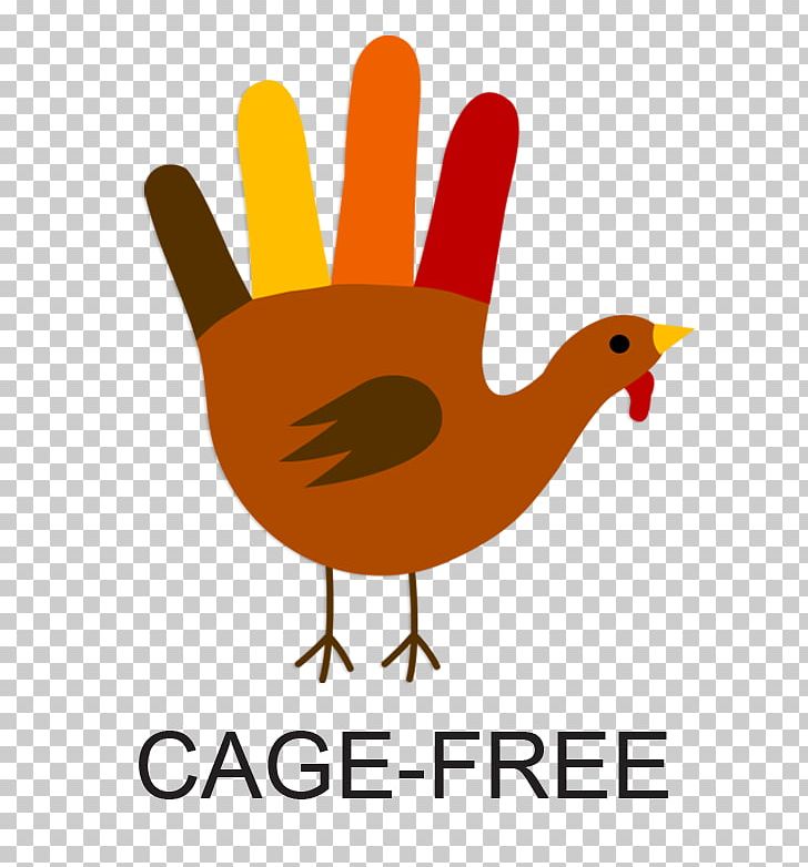 Turkey Meat Thanksgiving Drawing PNG, Clipart, Art, Artwork, Beak, Bird, Chicken Free PNG Download