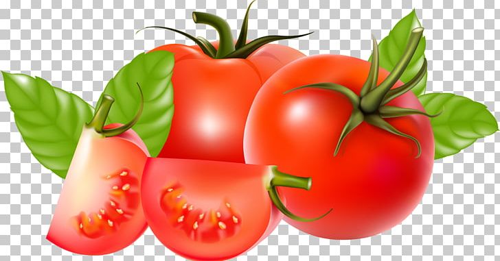 Cherry Tomato Ketchup Tomato Sauce Vegetable PNG, Clipart, Bush Tomato, Cherry Tomato, Encapsulated Postscript, Food, Fruit Free PNG Download