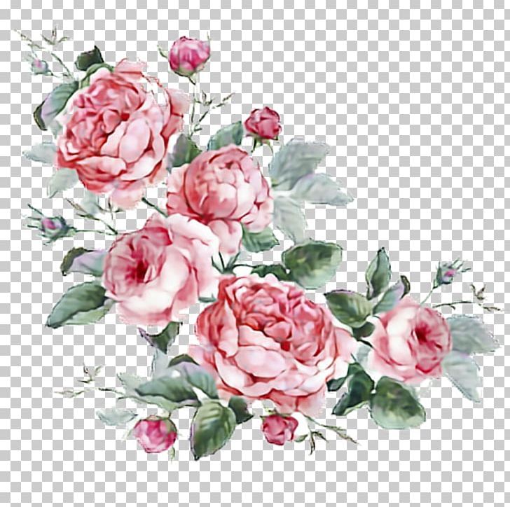 Floral Design Stock Photography Drawing PNG, Clipart, Blossom, Cut Flowers, Drawing, Floral Design, Floribunda Free PNG Download