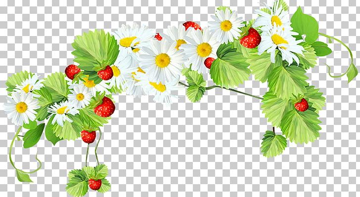 Flower Computer PNG, Clipart, 2017, 2018, Blossom, Branch, Computer Free PNG Download