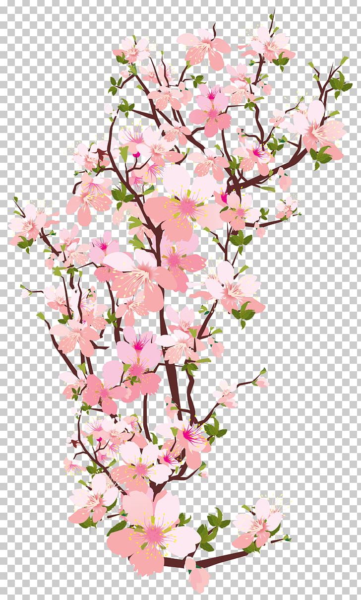 Blossom Flower Branch PNG, Clipart, Blossom, Branch, Cherry Blossom, Clip Art, Cut Flowers Free PNG Download