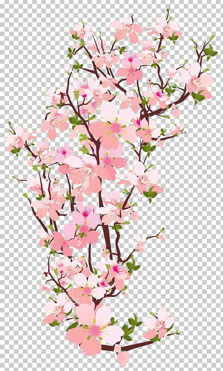 blossom flower clip art