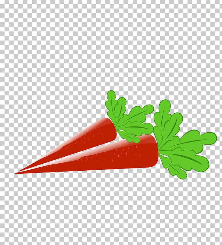 Carrot Cartoon Drawing Vegetable PNG, Clipart, Anima, Balloon Cartoon, Boy Cartoon, Carrot Vector, Cartoon Alien Free PNG Download